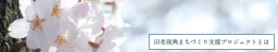 田老復興まちづくり支援プロジェクトとは
