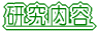 研究概要 